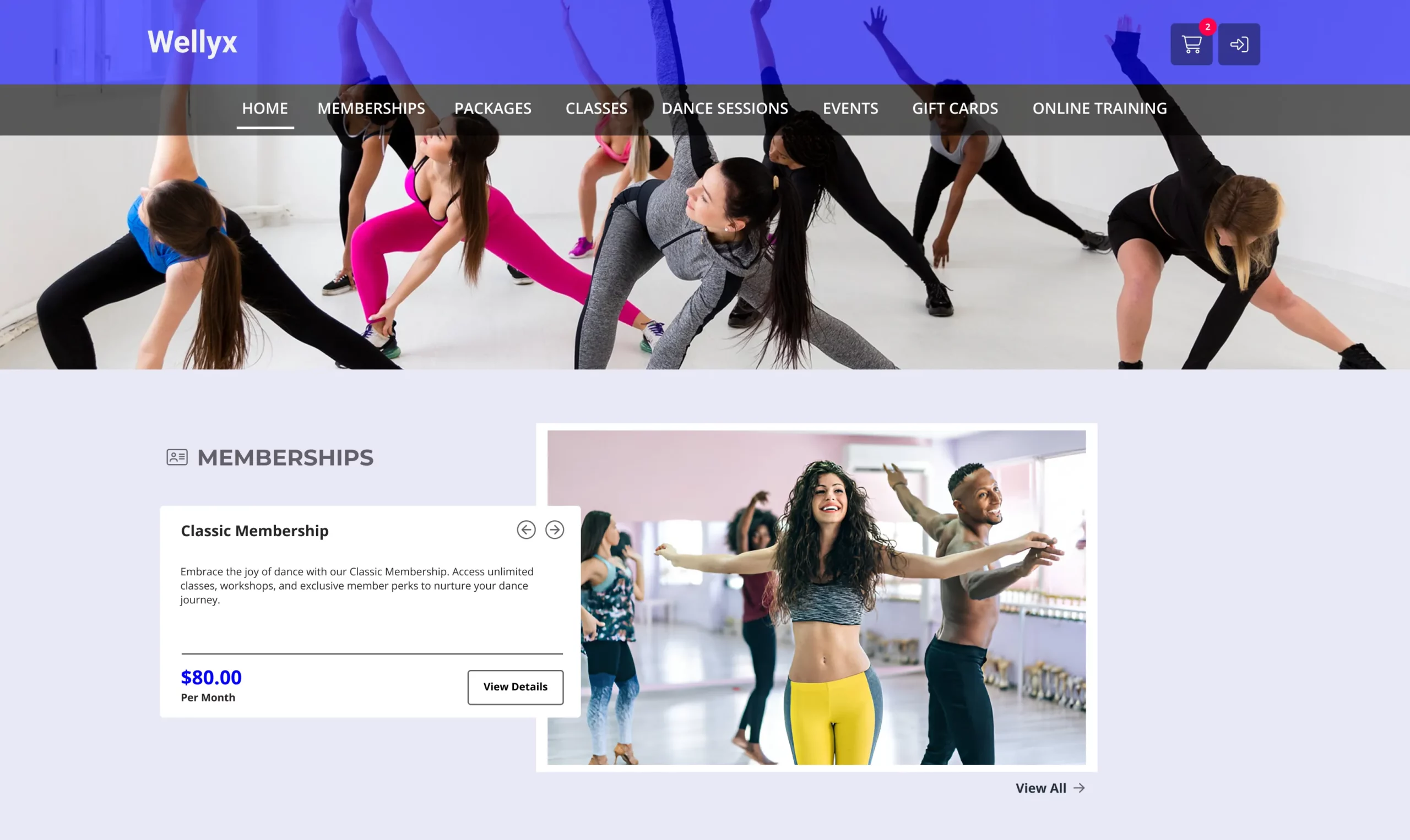 Dance studio web portal