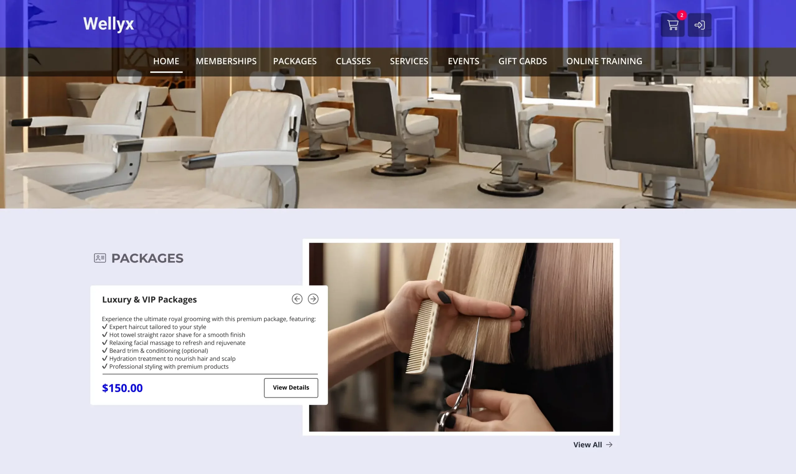 Hair salon web portal